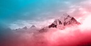 Step Up to RISE: RISE Day 2022